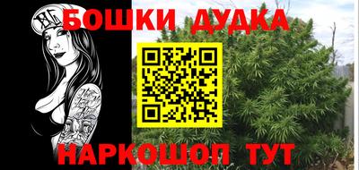 PSILOCYBIN Бугуруслан
