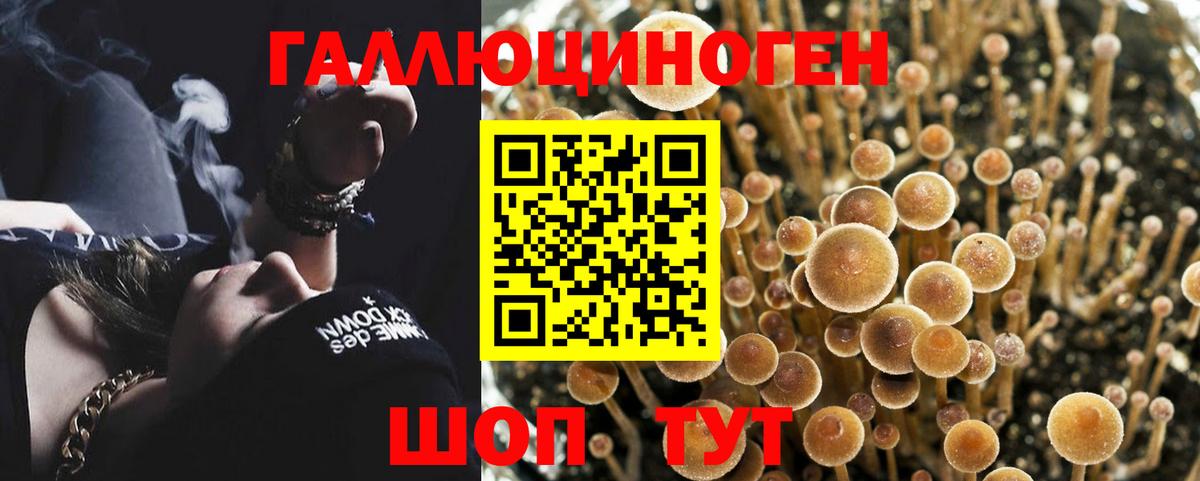Таганрог  Псилоцибиновые грибы GOLDEN TEACHER  Вход с VPN 